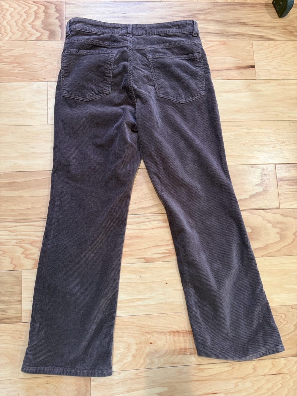 Pilcro and the Letterpress Women's Dark Brown Corduroy High Rise Boot Cut 30 - Picture 2 of 9